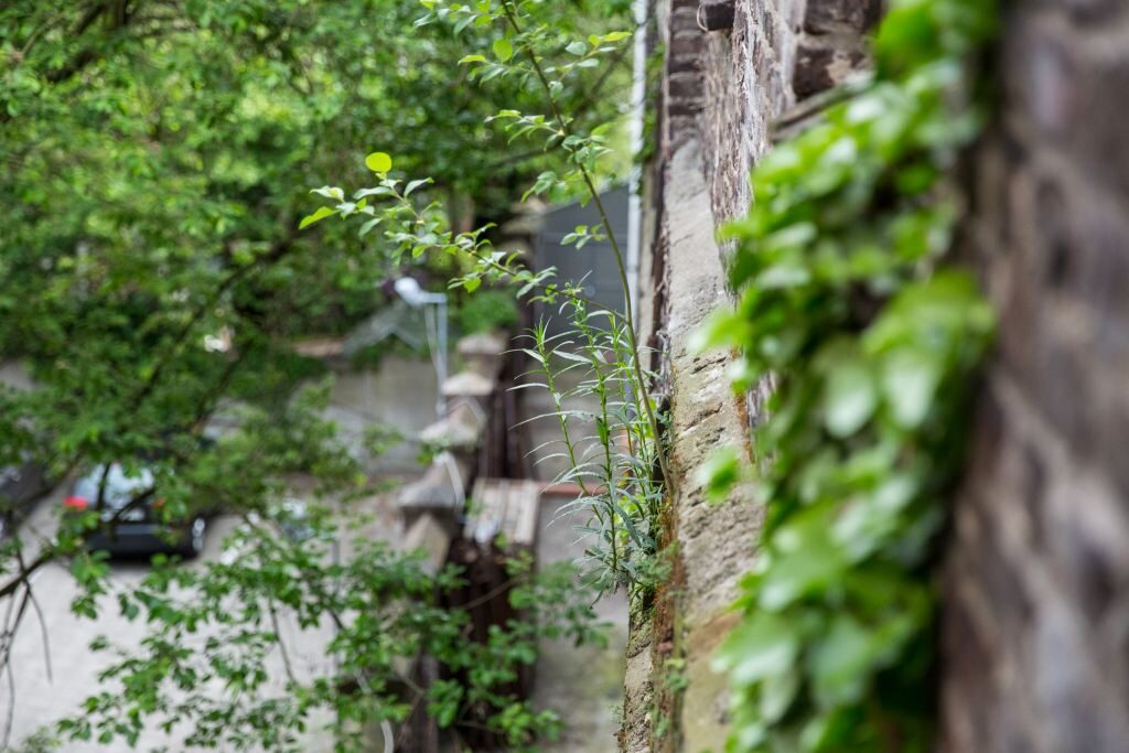 2015.05.27_VDMA_TERREIN_Ralph_Roelse_Eindhoven_NL_015