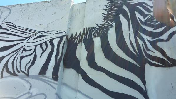 Foto (c) Nancy van Loon