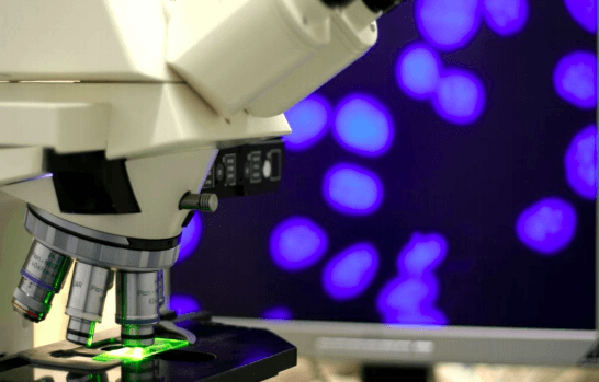 Schermafbeelding 2015-09-18 om 13.28.38