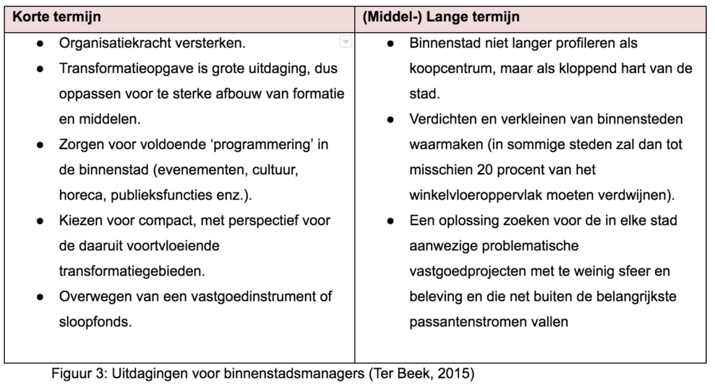 binnenstad cahier Cees-Jan Pen