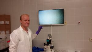 cellasys Chemotherapy