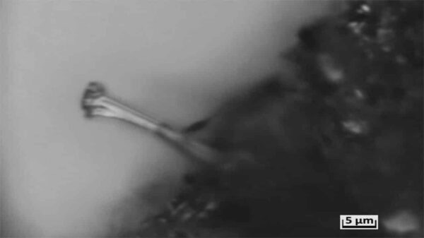 ©Mönig/Kramer, HIU/KIT