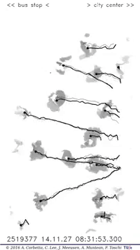 Toschi and Corbetta_collision avoidance_depth image