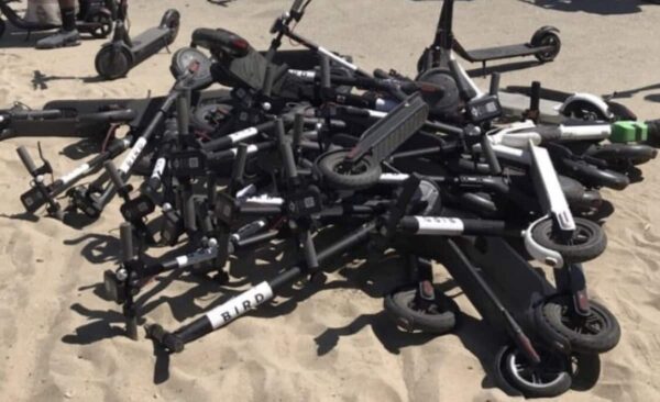 Bird graveyard © Scooter Idiots