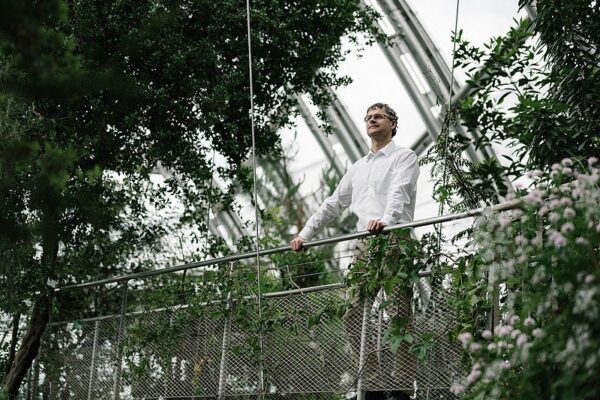 Biokatalyse als umweltfreundliche Art der Herstellung von Medikamenten