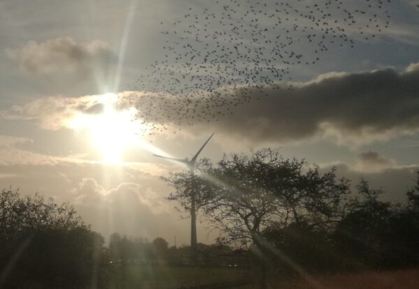 Levert het nog geld op? Economische efficiëntiecontrole voor windenergiecentrales.