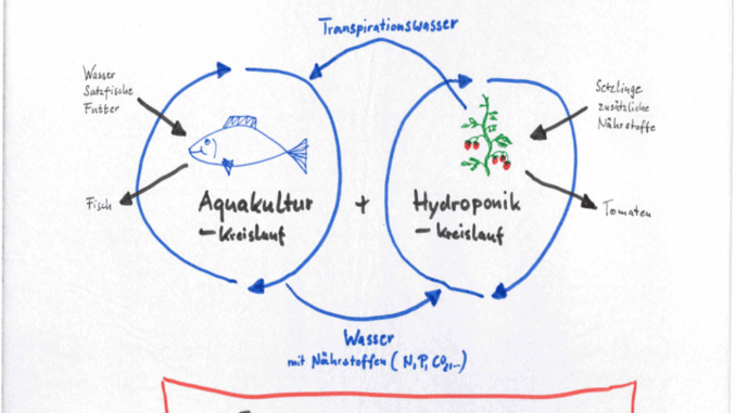 Aquaponik, Fische, Pflanzen, Ernährung