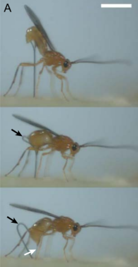 This image has an empty alt attribute; its file name is Screenshot-2020-07-12-at-09.01.57.png