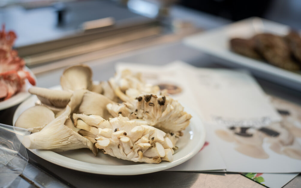 This image has an empty alt attribute; its file name is WBJ2735-1004x628.jpg