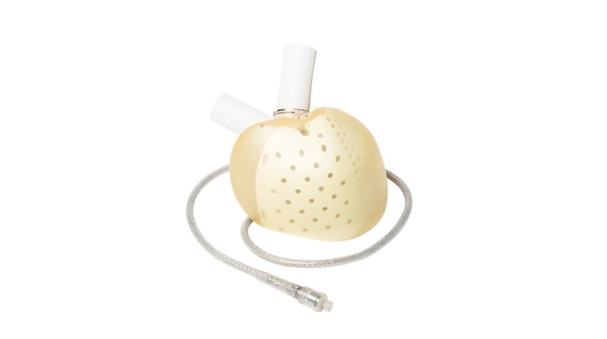 This image has an empty alt attribute; its file name is prothese-850px.jpg