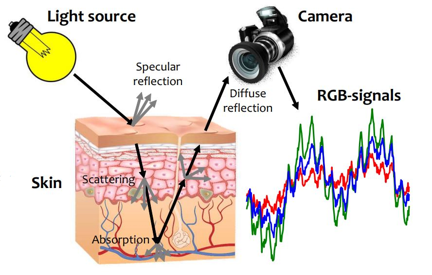 This image has an empty alt attribute; its file name is 1115-308e0be7af22bb74791e3745a461a4c5.png