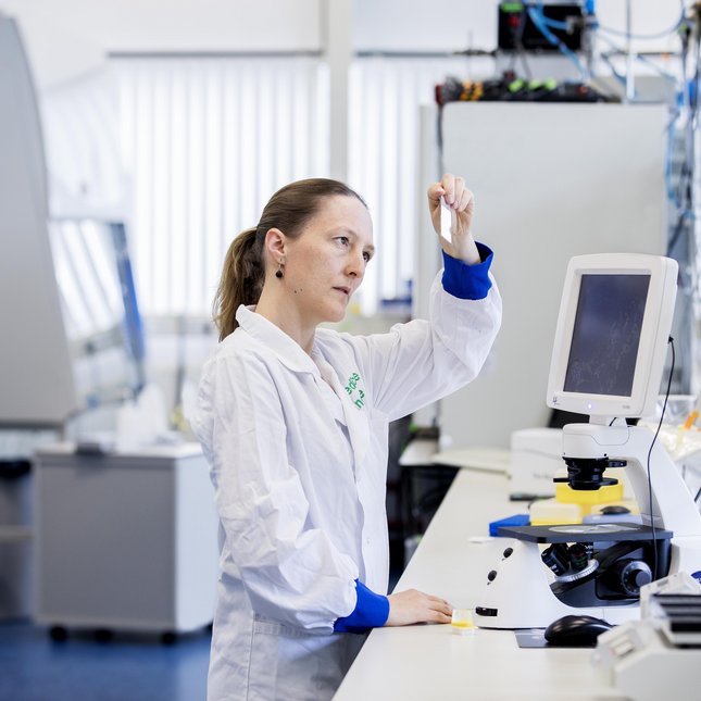 This image has an empty alt attribute; its file name is SandraHofman.jpg