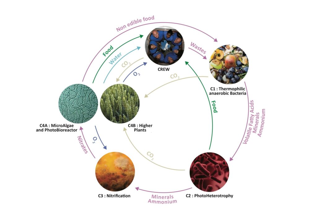 This image has an empty alt attribute; its file name is MELiSSA-loop-1004x710.jpg