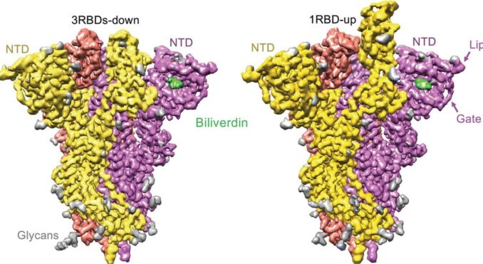 This image has an empty alt attribute; its file name is f1large_1619171147914_x2-678x371.jpg