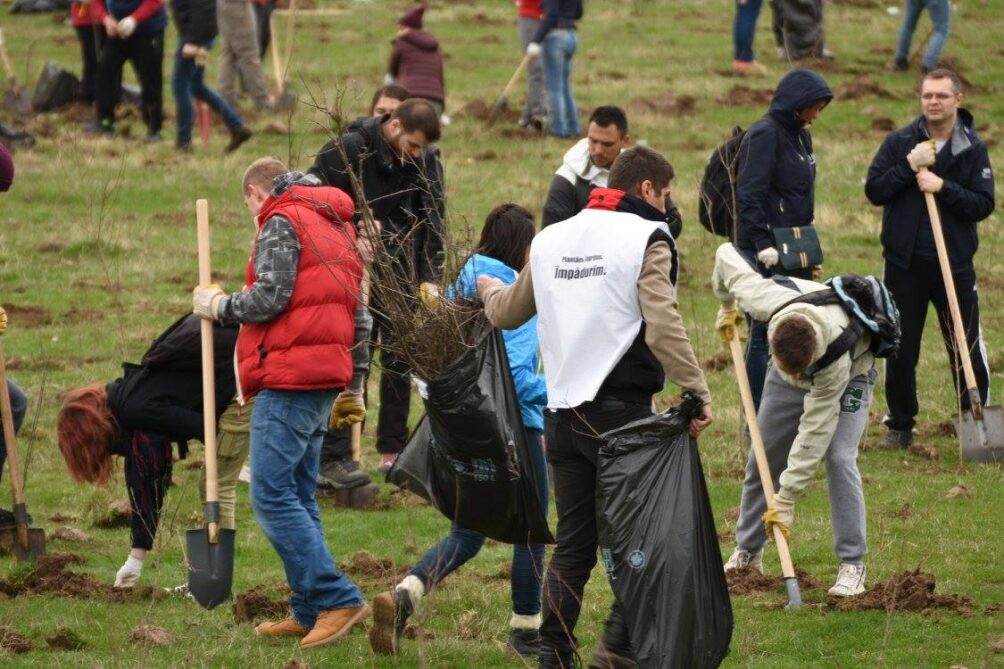 Volunteers are planting trees together
