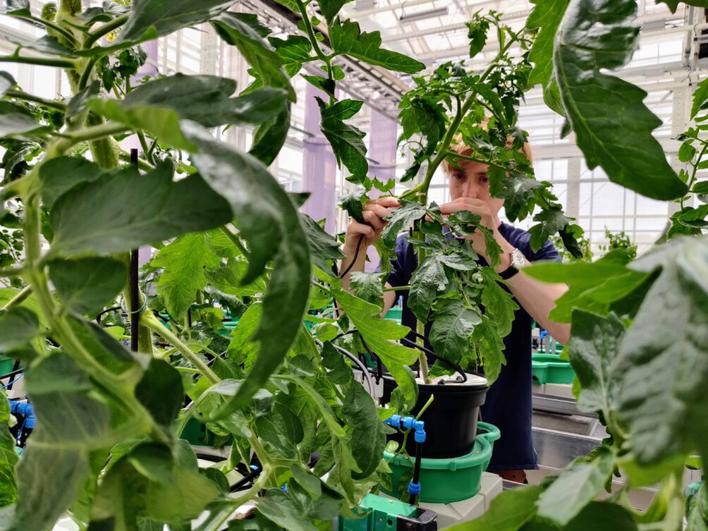 © Plense Technologies